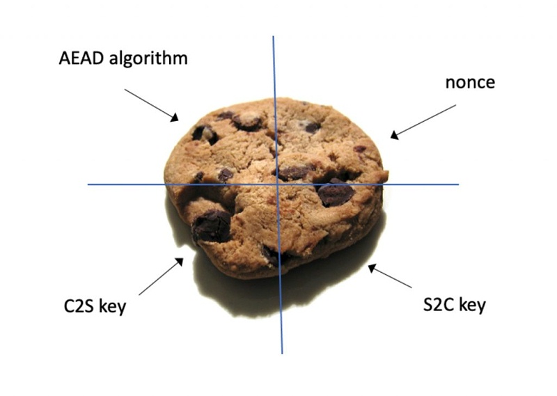 NTS cookie 字段